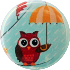 Owl badge rain